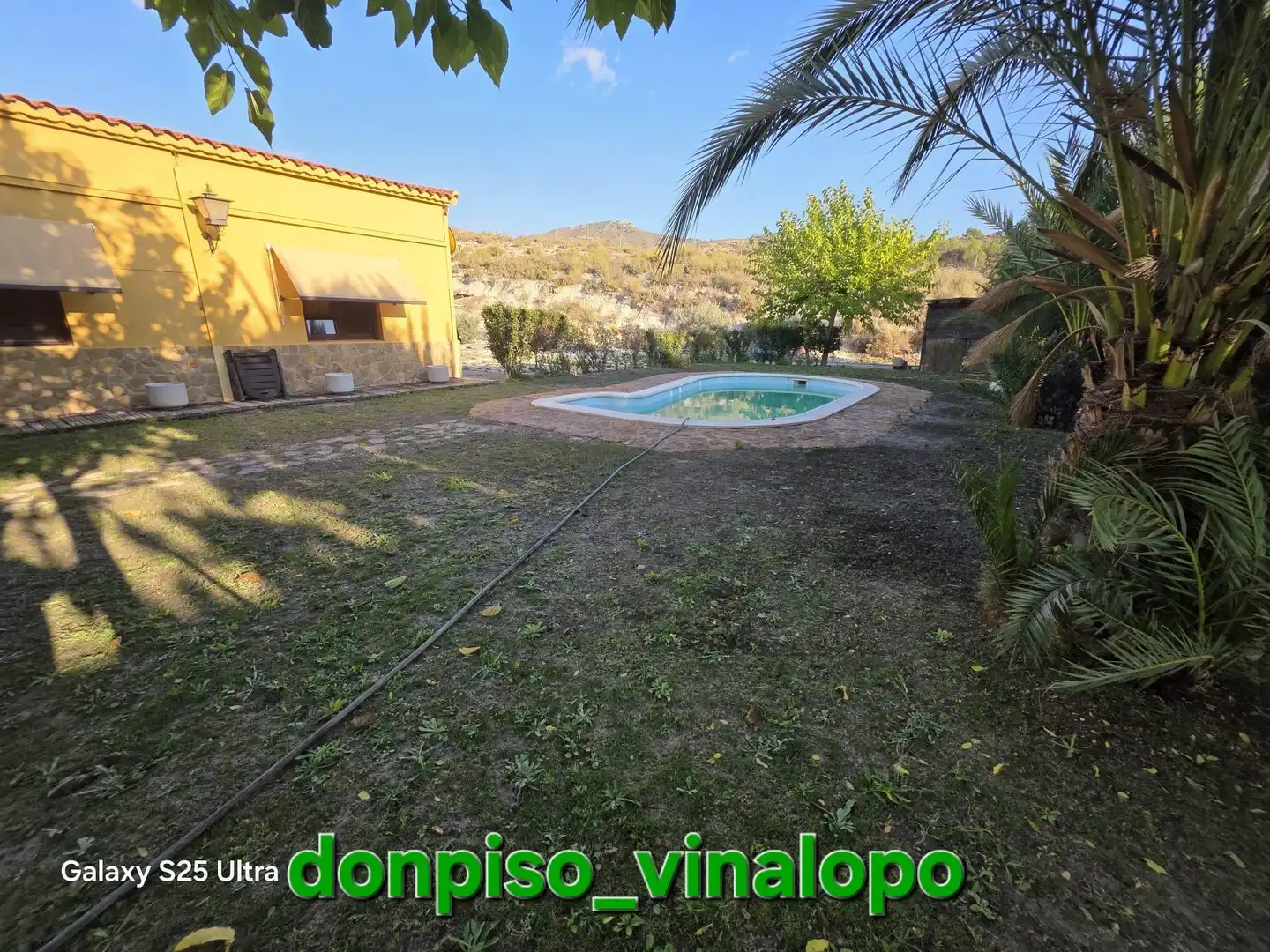 Piscina de Finca rústica en venta en Petrer, Alicante
