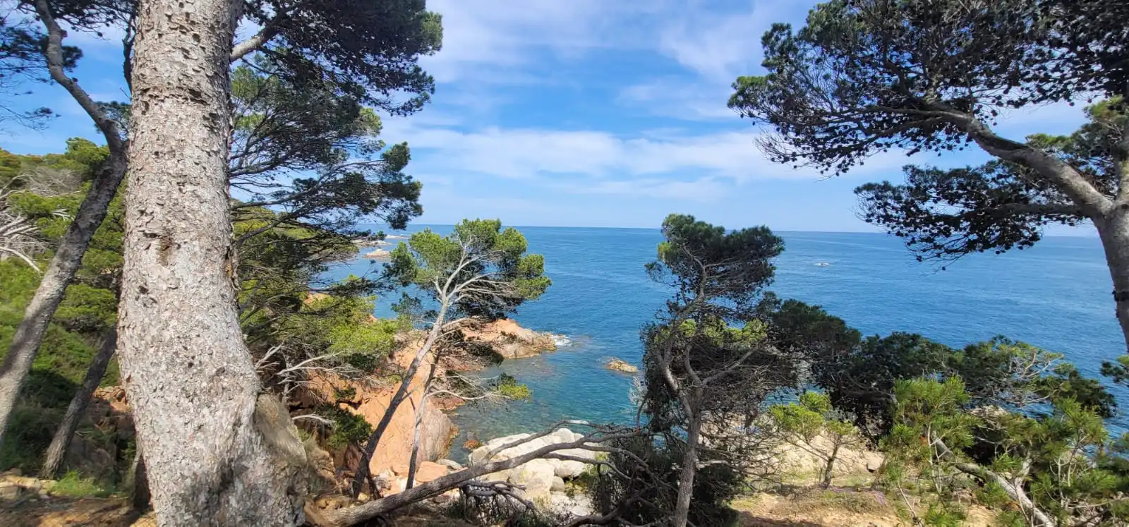 Garden of Houses for sale in Palamós  with Air Conditioner, Heating and Private garden