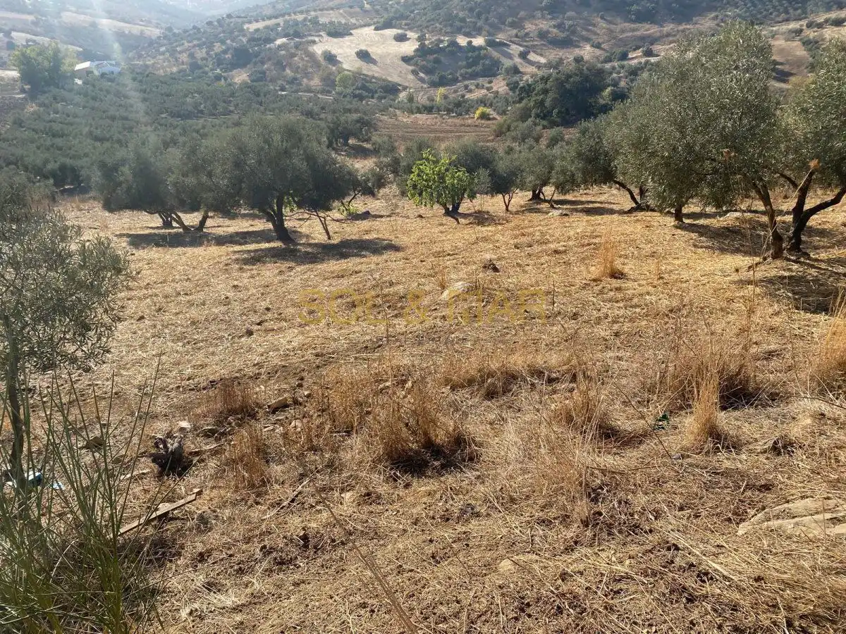 Finca rústica en venda en Antequera