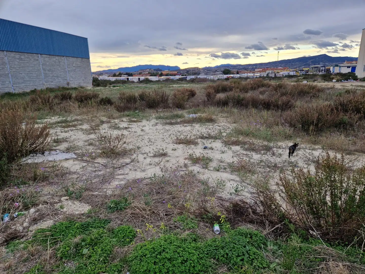 Terreny industrial en venda a Archena, imagen 2