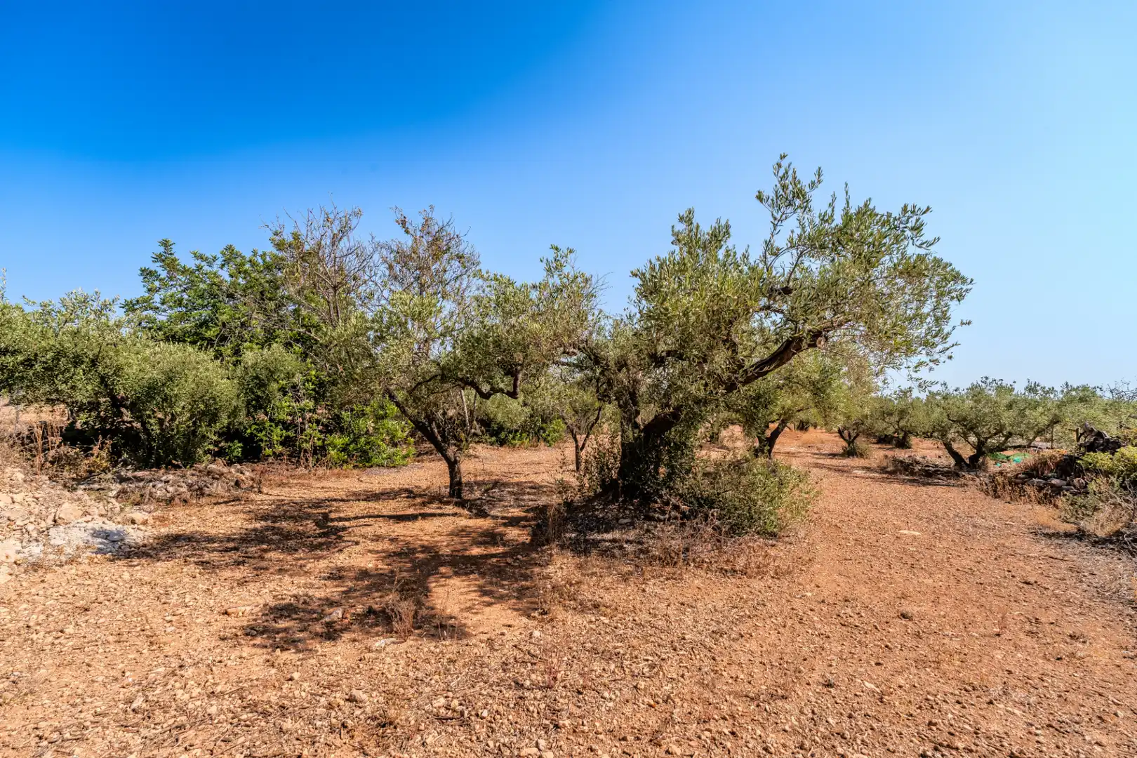 Houses for sale in L'Ampolla  with Private garden, Terrace and Storage room