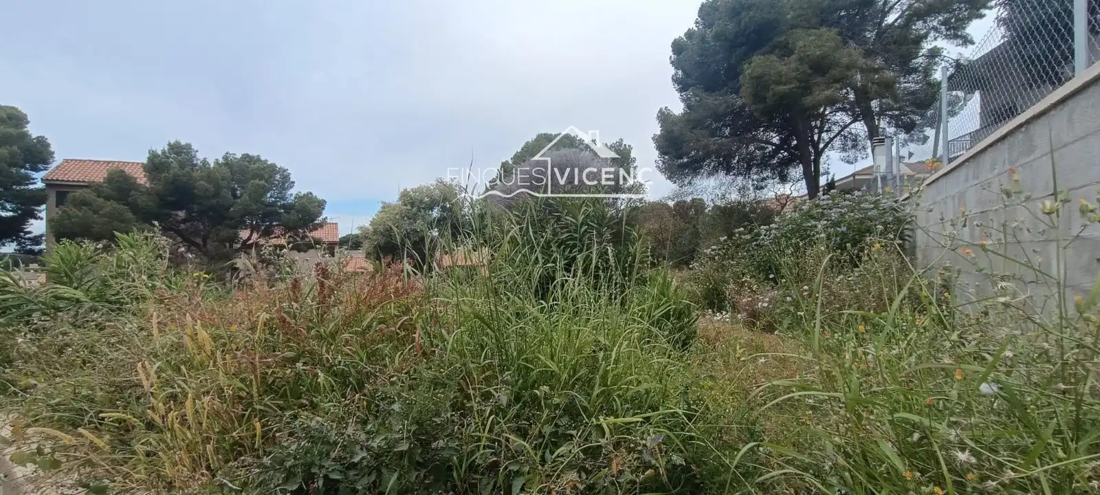 Terreno rústico en venta en SAL, imagen 3