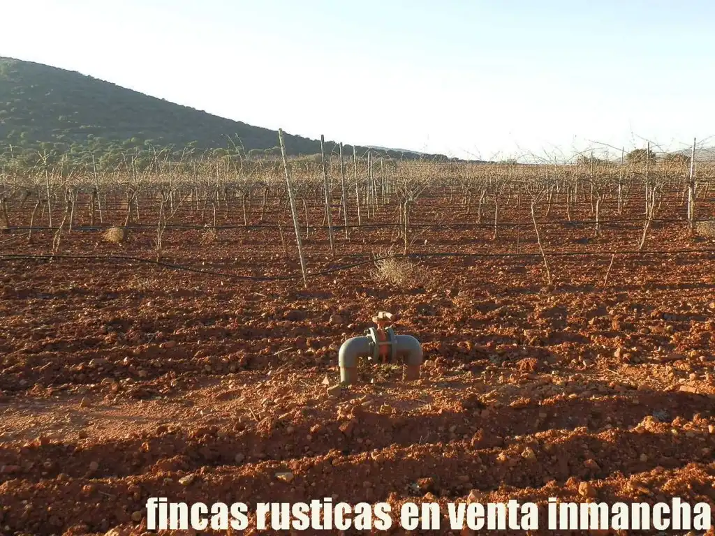 Terreno rústico en venta en Moral de Calatrava, imagen 13