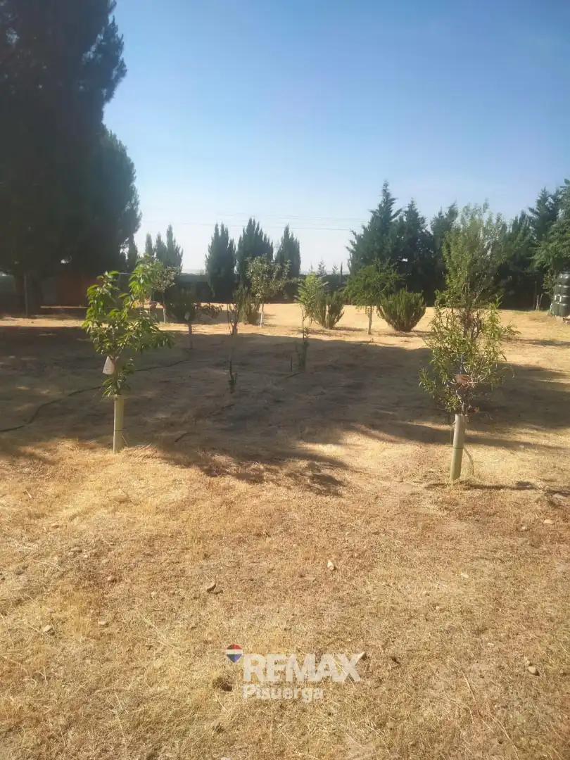 Terreni e lotti in vendita a Lugar Comun Viejo 2, imagen 21