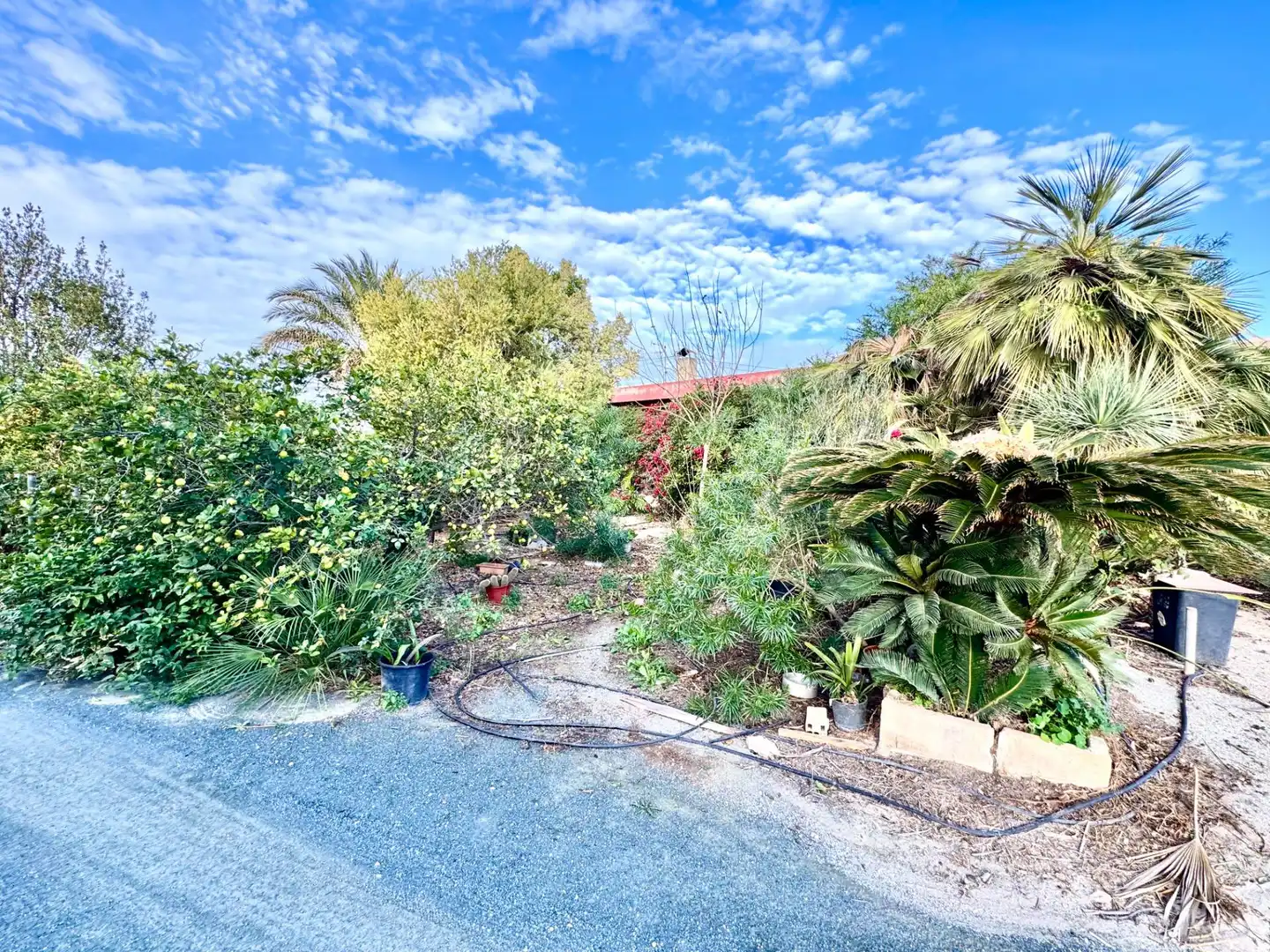Jardí de Casa o xalet en venda en Elche / Elx amb Jardí privat i Terrassa