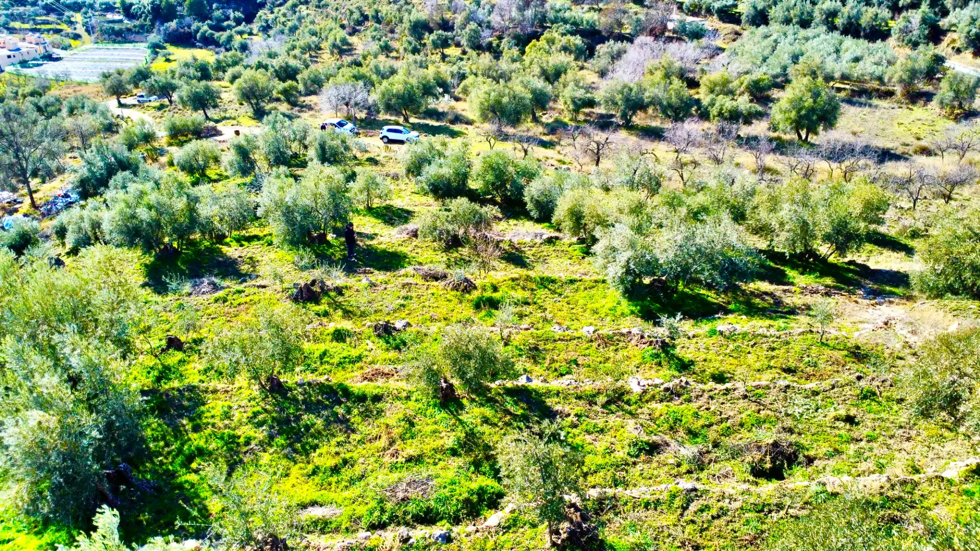 Terreni e lotti in vendita a Calle Santa Maria 40, imagen 36