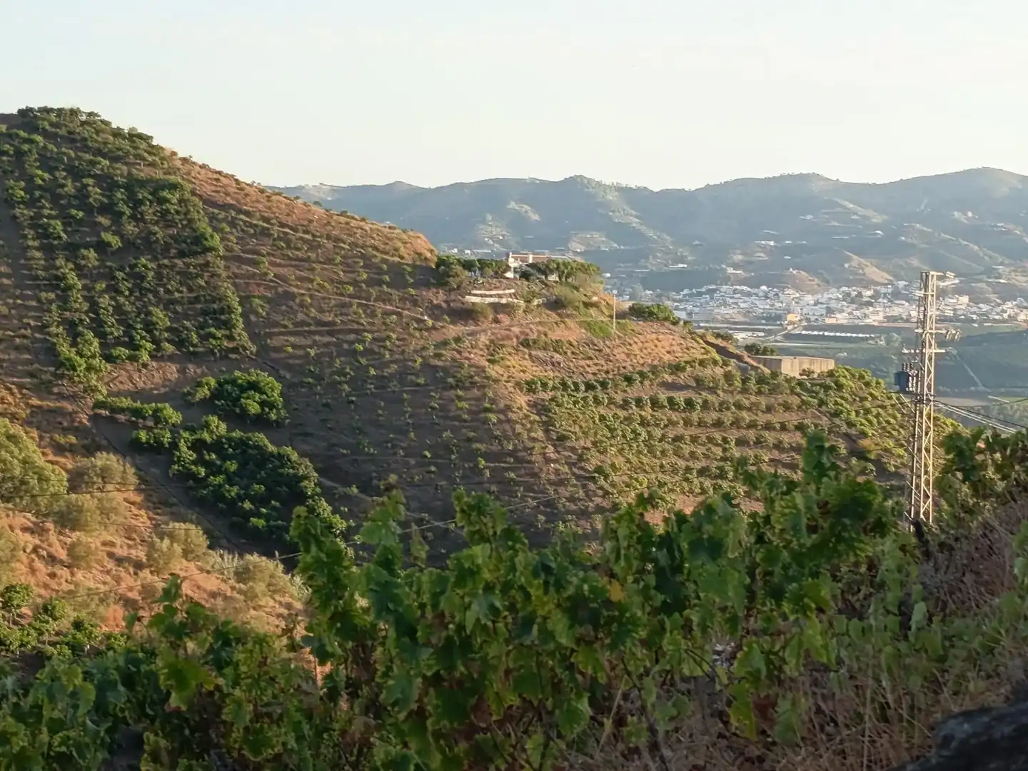 Terrenys i solars en venda a Canillas de Aceituno, imagen 21