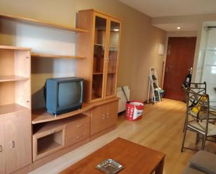 Sala d'estar de Apartament de lloguer en Salamanca Capital