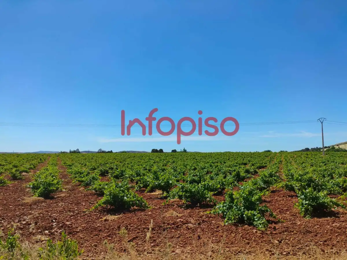Lands and plots for sale in Valdepeñas, imagen 4