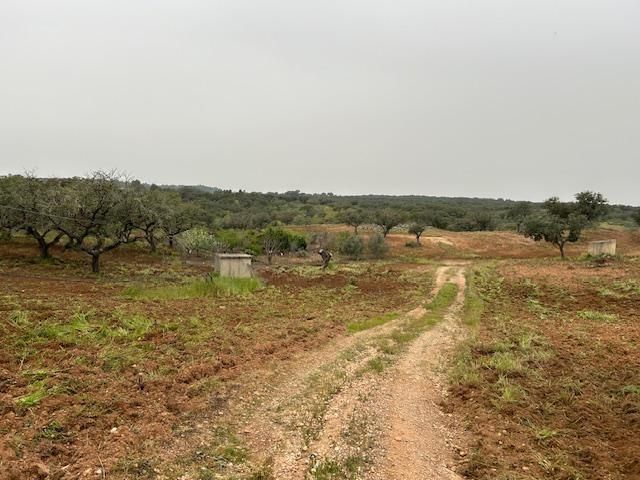 Land for sale in San Bartolomé de la Torre