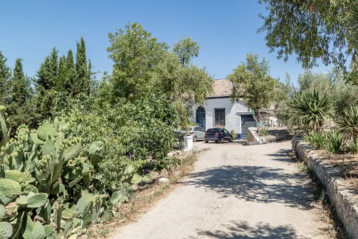 Vista exterior de Finca rústica en venta en Moclín con Piscina