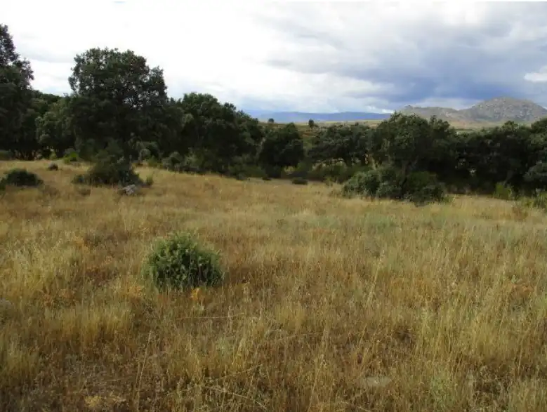 Land for sale in Puente del Congosto