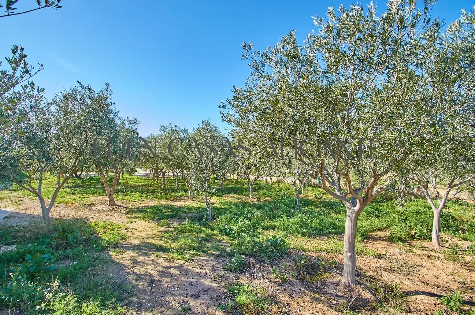Casa o xalet en venda en Alicante / Alacant amb Aire condicionat, Jardí privat i Terrassa