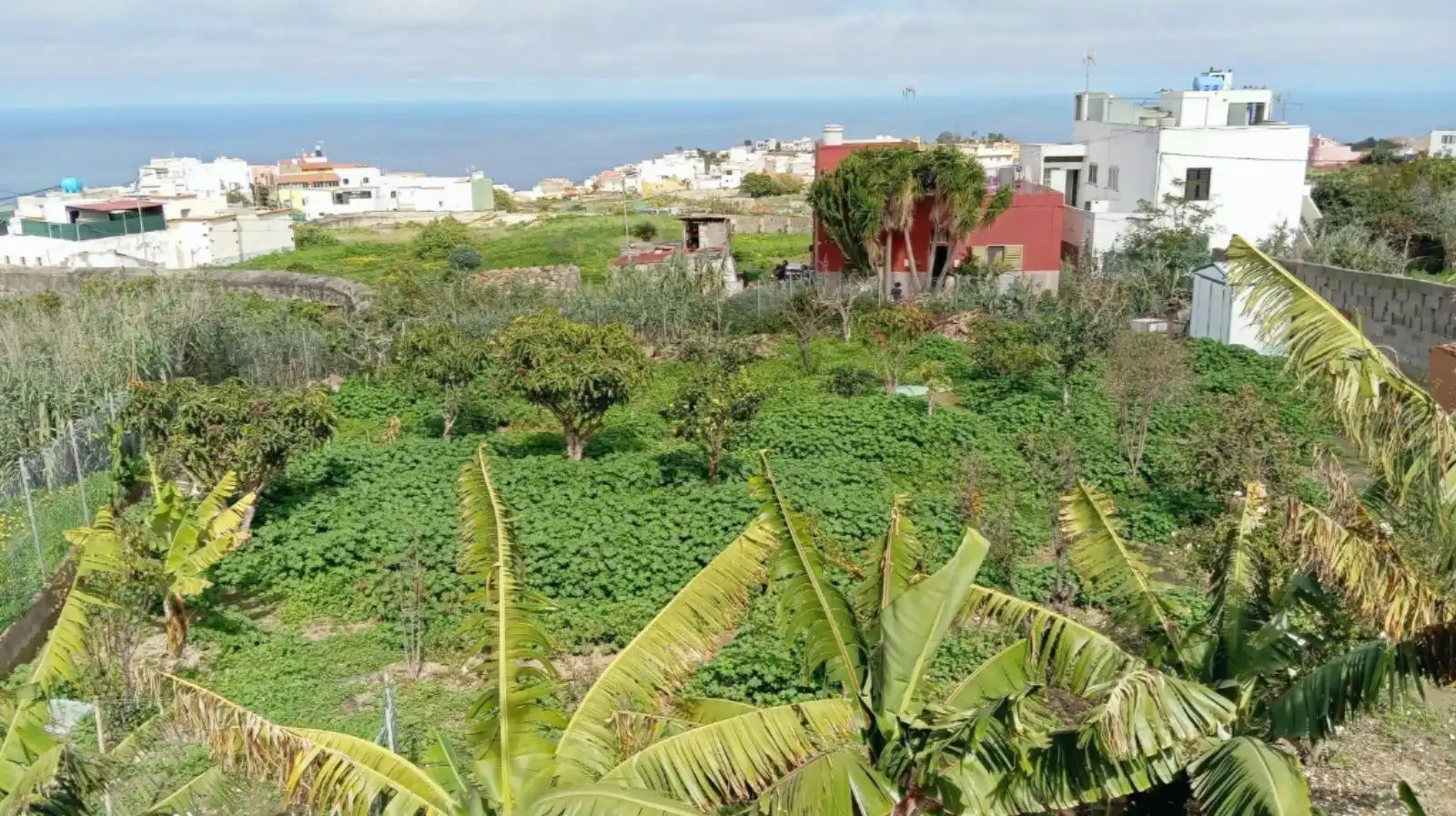 Casa o xalet en venda en Moya (Las Palmas) amb Traster