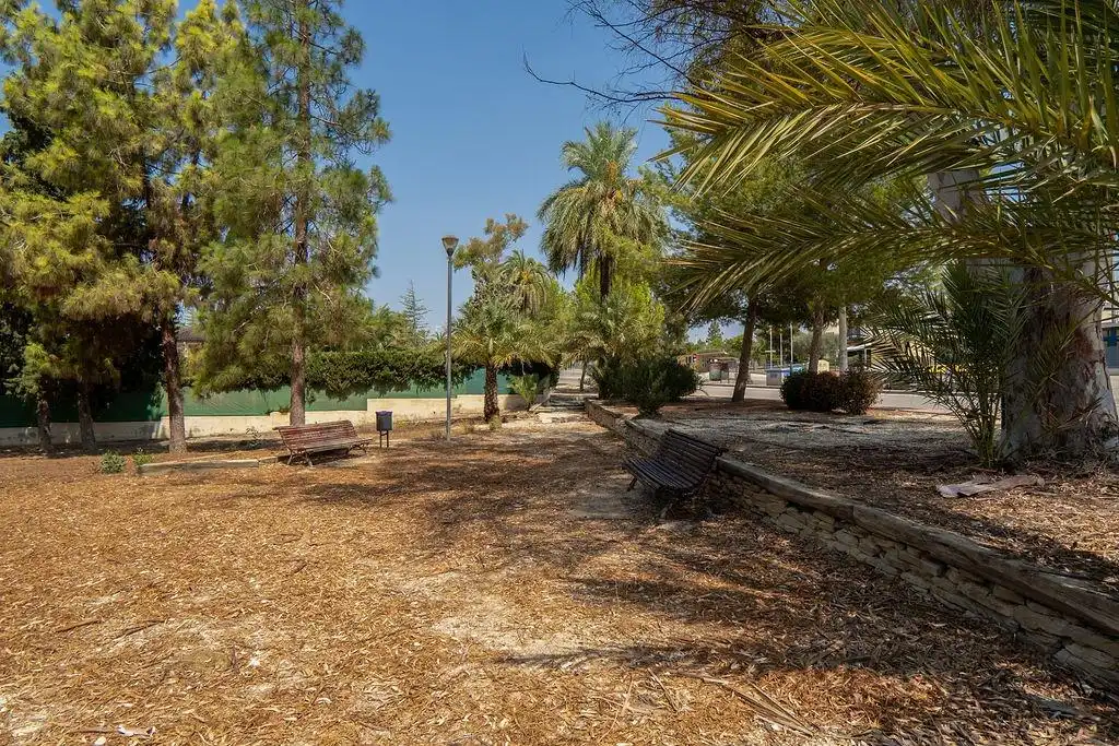 Chalet con piscina en venta en La Alcayna, imagen 13
