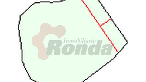 Parcela en Begonte, immagine 2
