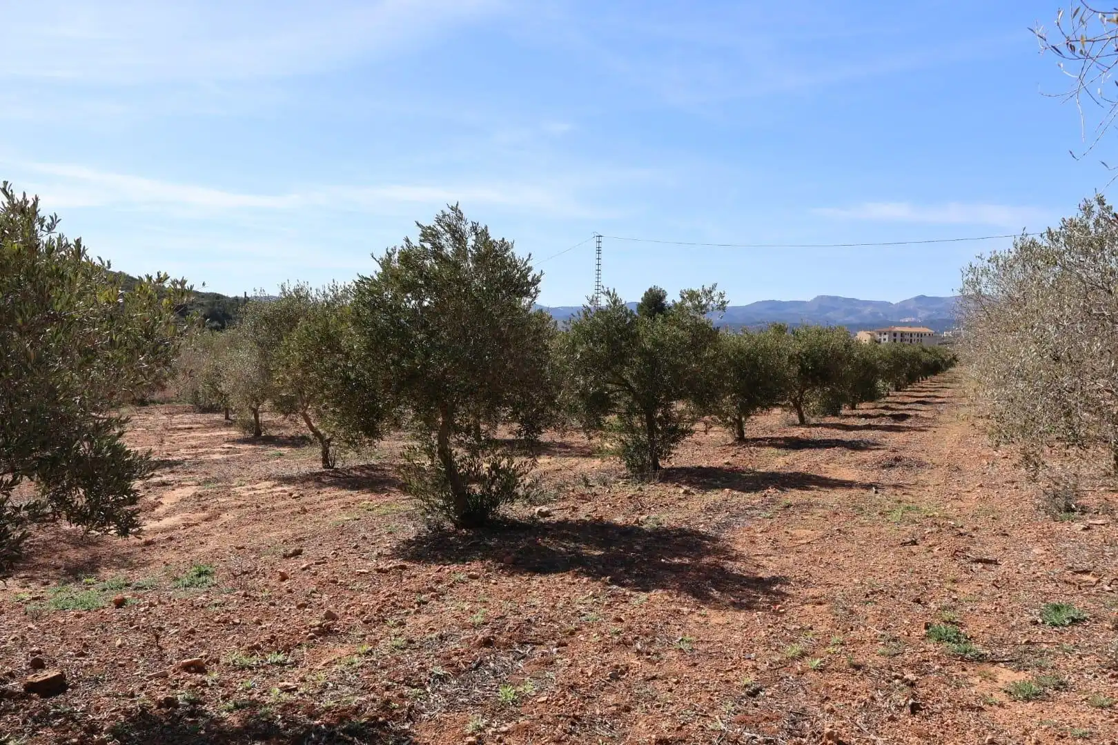 Terreno en venta en BARONA, Vall d'Alba