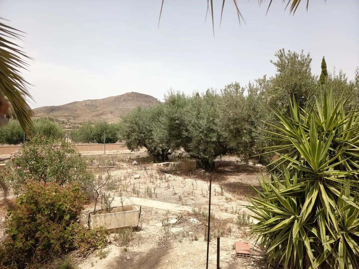 Casa o xalet en venda en Alicante / Alacant amb Jardí privat, Terrassa i Piscina