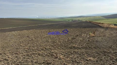 Photo 3 of Country homes for sale in Alcolea, Córdoba Capital