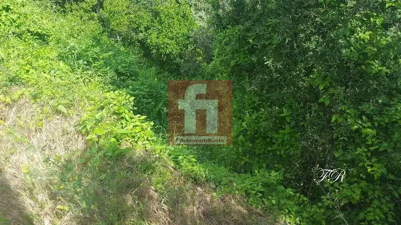 Terrenys i solars en venda a El Racó - Sant Feliu del Racó, imagen 15