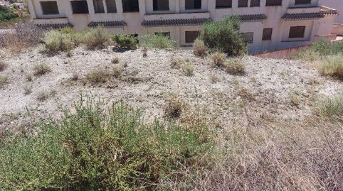 TERQUE (Almería). c/ Cementerio. Suelo de 873 m2., imatge 2