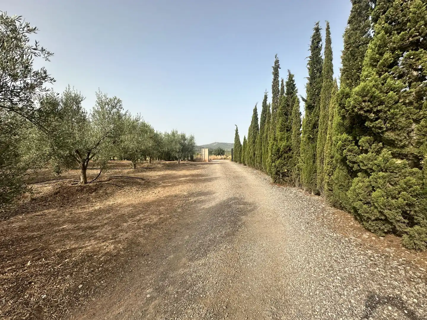 Casa o chalet en venta en Sot de Ferrer con Calefacción, Jardín privado y Terraza