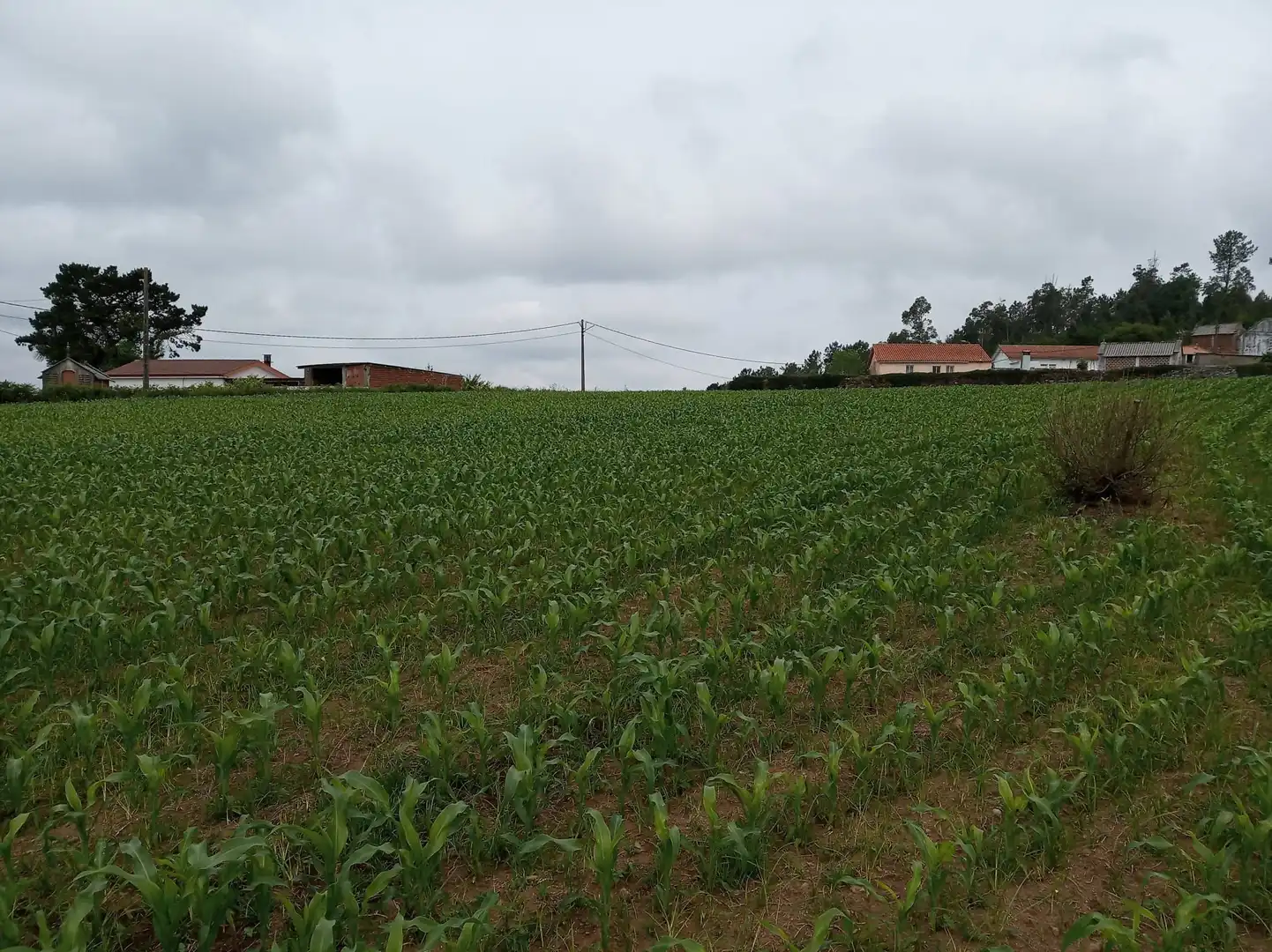 Wohnbaugrundstück zum Verkauf in Carballo, imagen 6