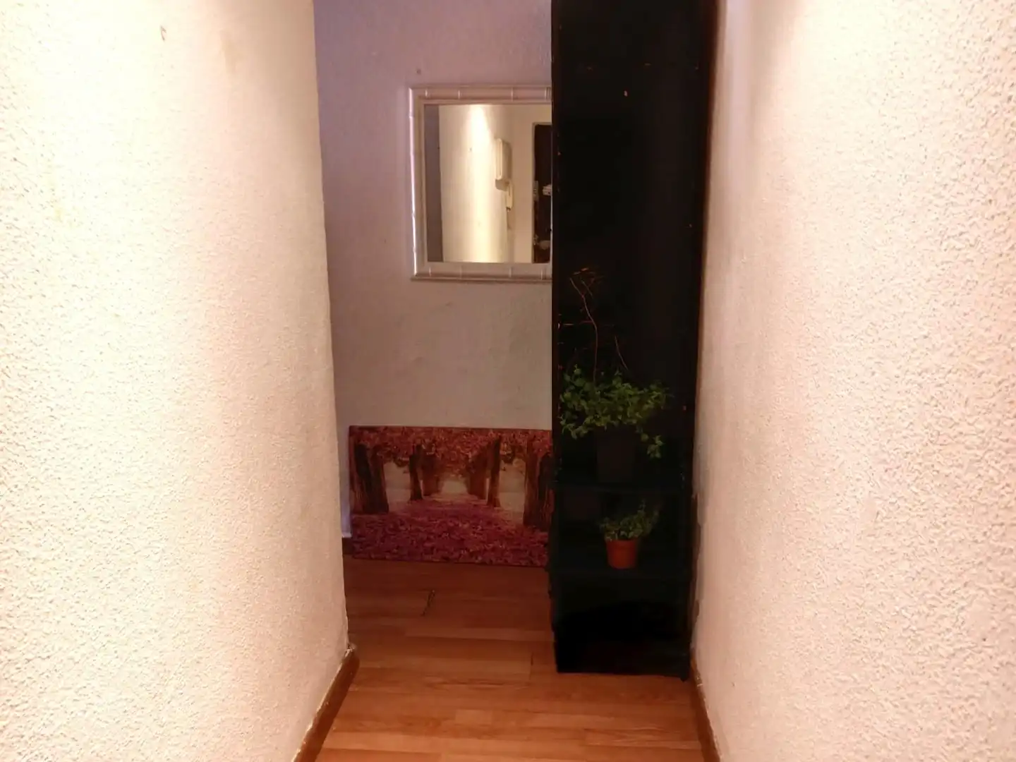 Appartamento con terrazza in vendita a Ensanche - Franciscanos, imagen 14