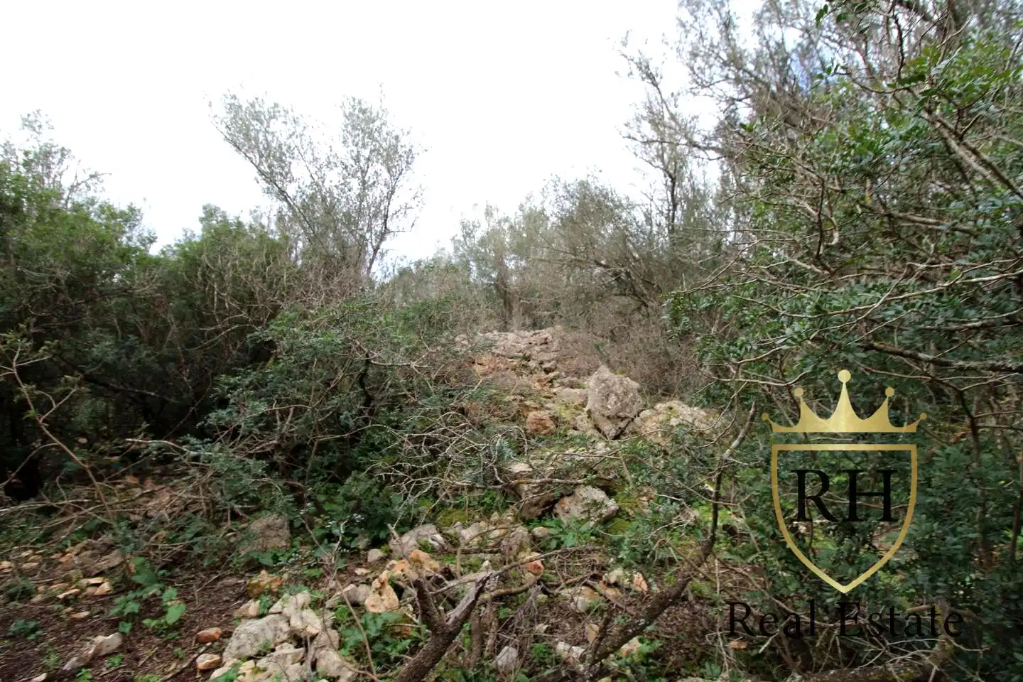 Lands and plots for sale in POLIGONO 49 PARCELA 3, imagen 14
