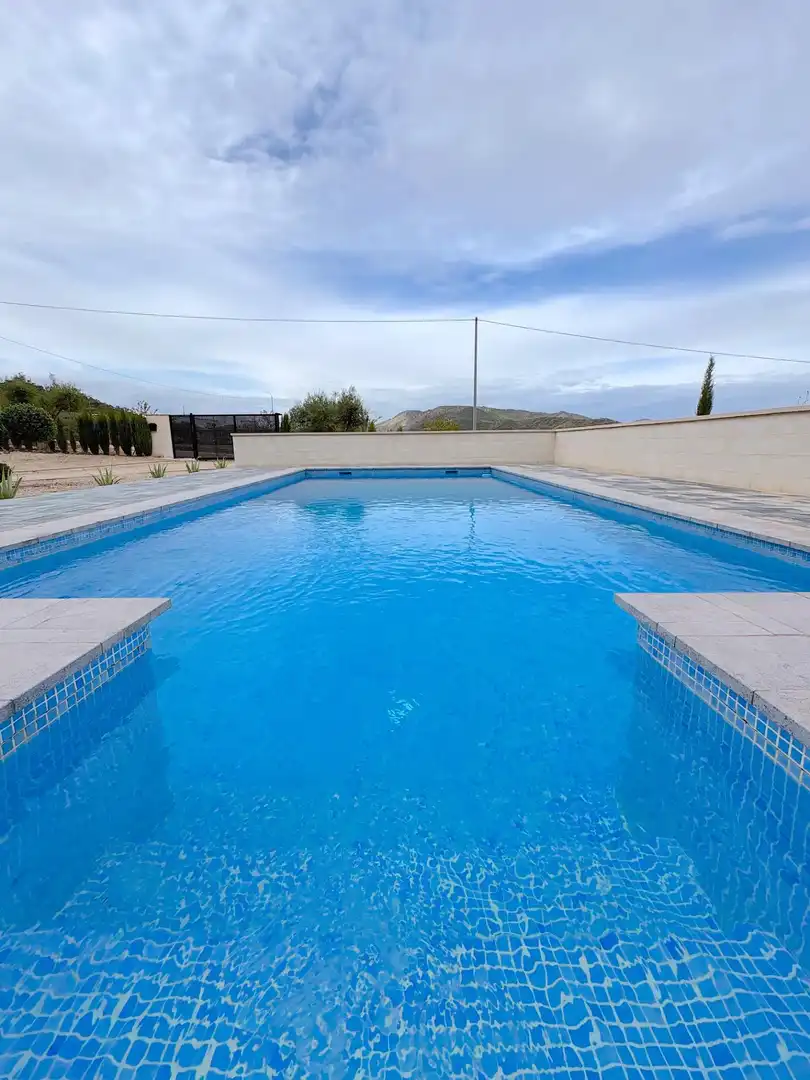 Villa avec piscine à vendre à El Altico, imagen 40
