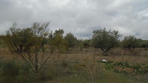 Foto 4 de Residencial en venta en Sector Residencial Iv-poligono 1-quer-va, 50, Quer, Guadalajara