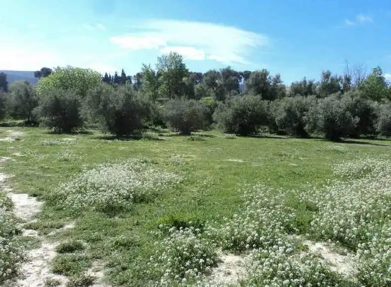 Residencial en venta en Ontinyent