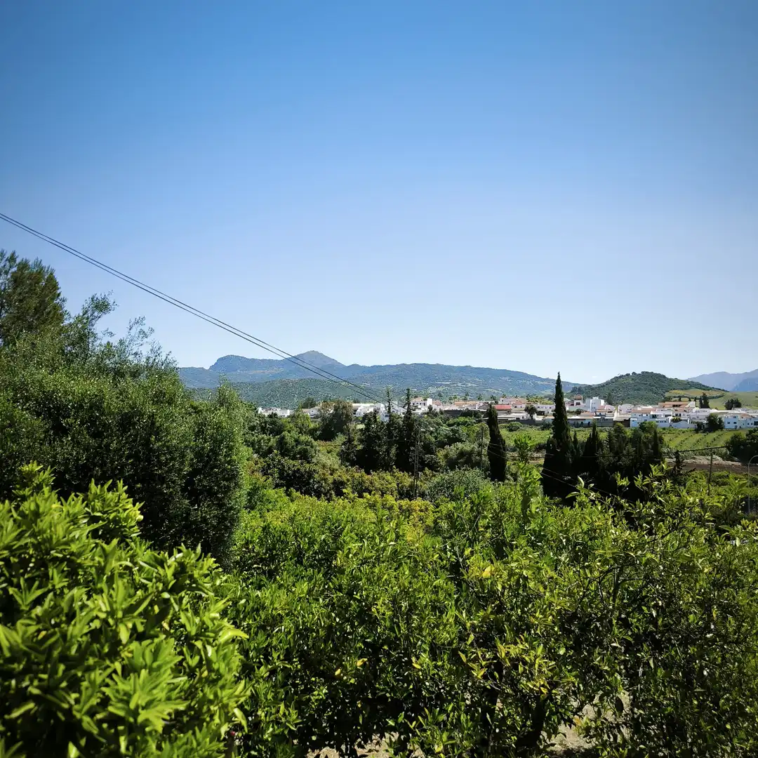 Vista exterior de Casa o xalet en venda en Jimena de la Frontera amb Piscina