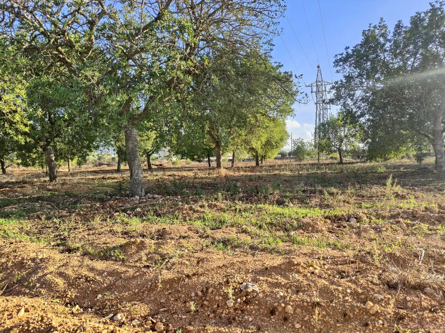 Residencial en venda en Consell