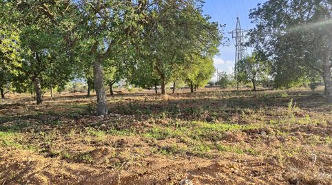Finca rústica en venta, immagine 3