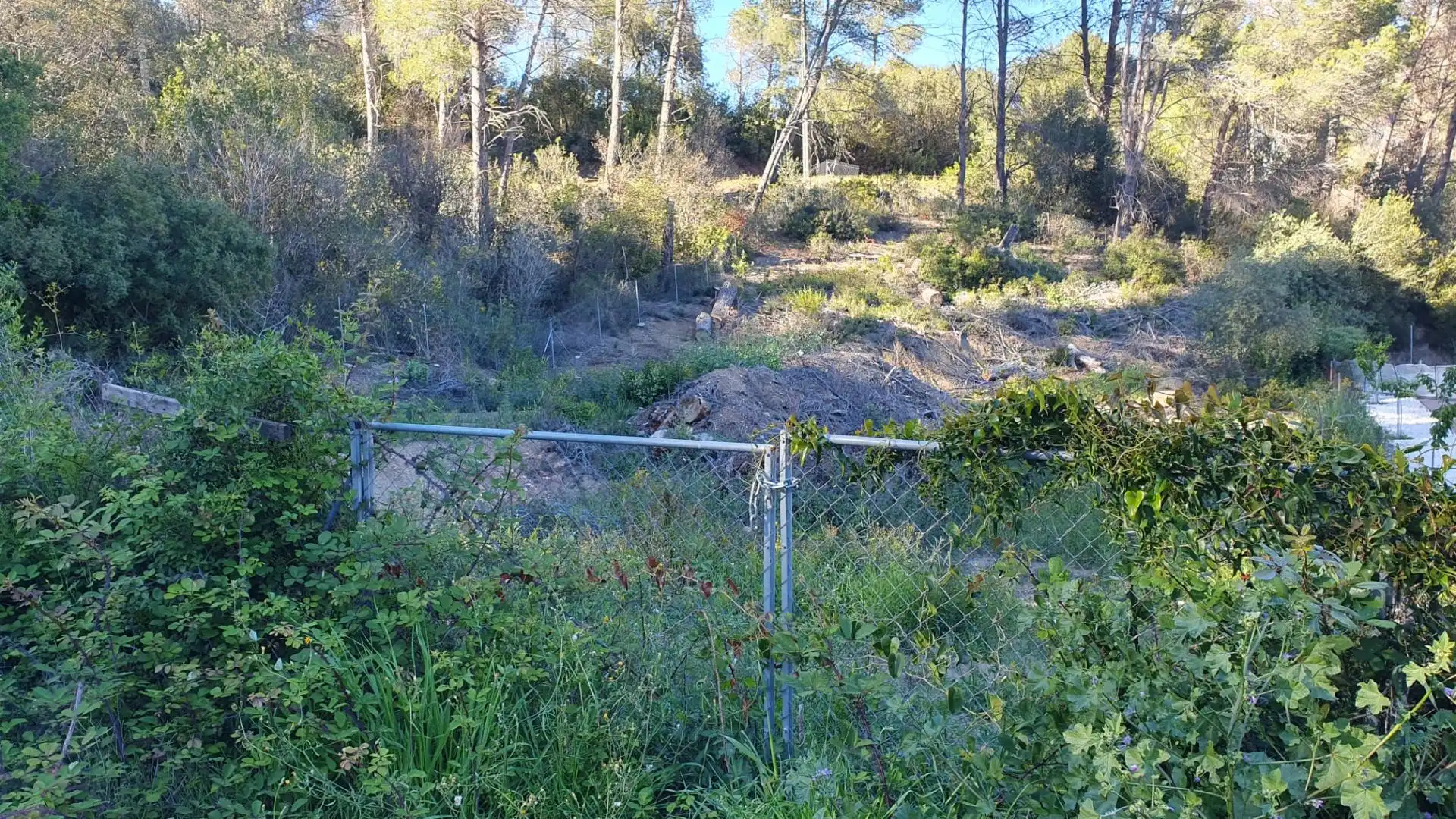 Terreno residenziale in vendita a de Cabrera 1219, imagen 4