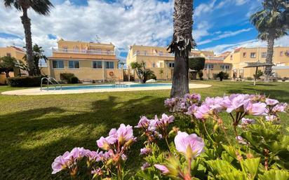 Jardí de Apartament en venda en Orihuela amb Terrassa, Piscina i Moblat