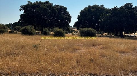 Foto 5 de Finca rústica en venda a Buenavista, Salamanca