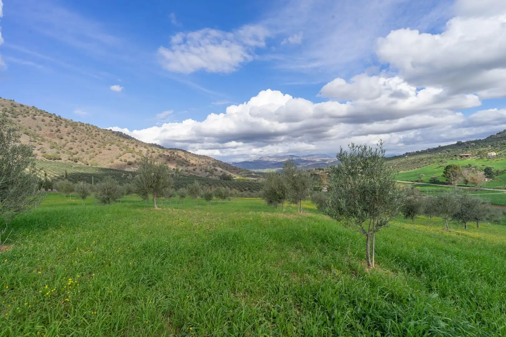 Villa zum Verkauf in Álora, imagen 67