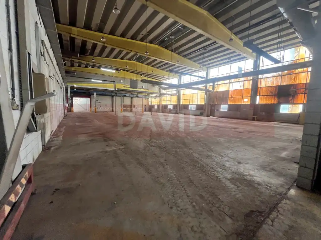 Industrial building for sale in Diseminados Poligon 39, imagen 13
