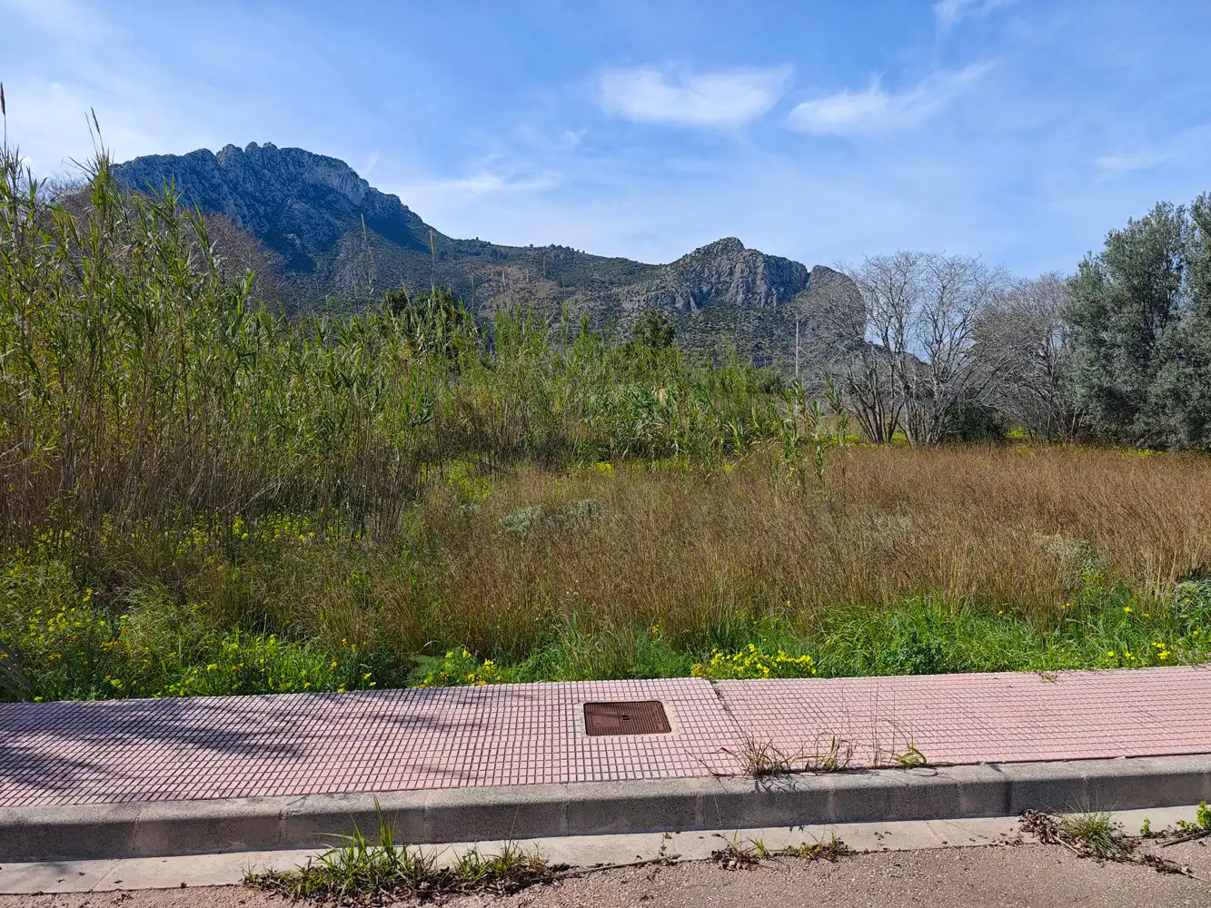 Terreny residencial en venda a Avinguda Alacant 16, imagen 2