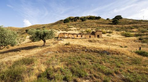 Foto 3 de Terreno en venta en N/a, -1, Zona alta, Sierra Nevada