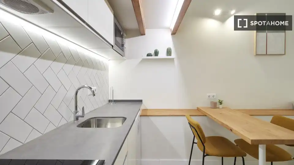 Appartamento con terrazza in affitto a Ciutat Vella, imagen 8