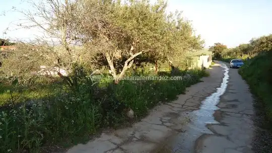 Terreni e lotti in vendita a Sierra de Fuentes, imagen 2