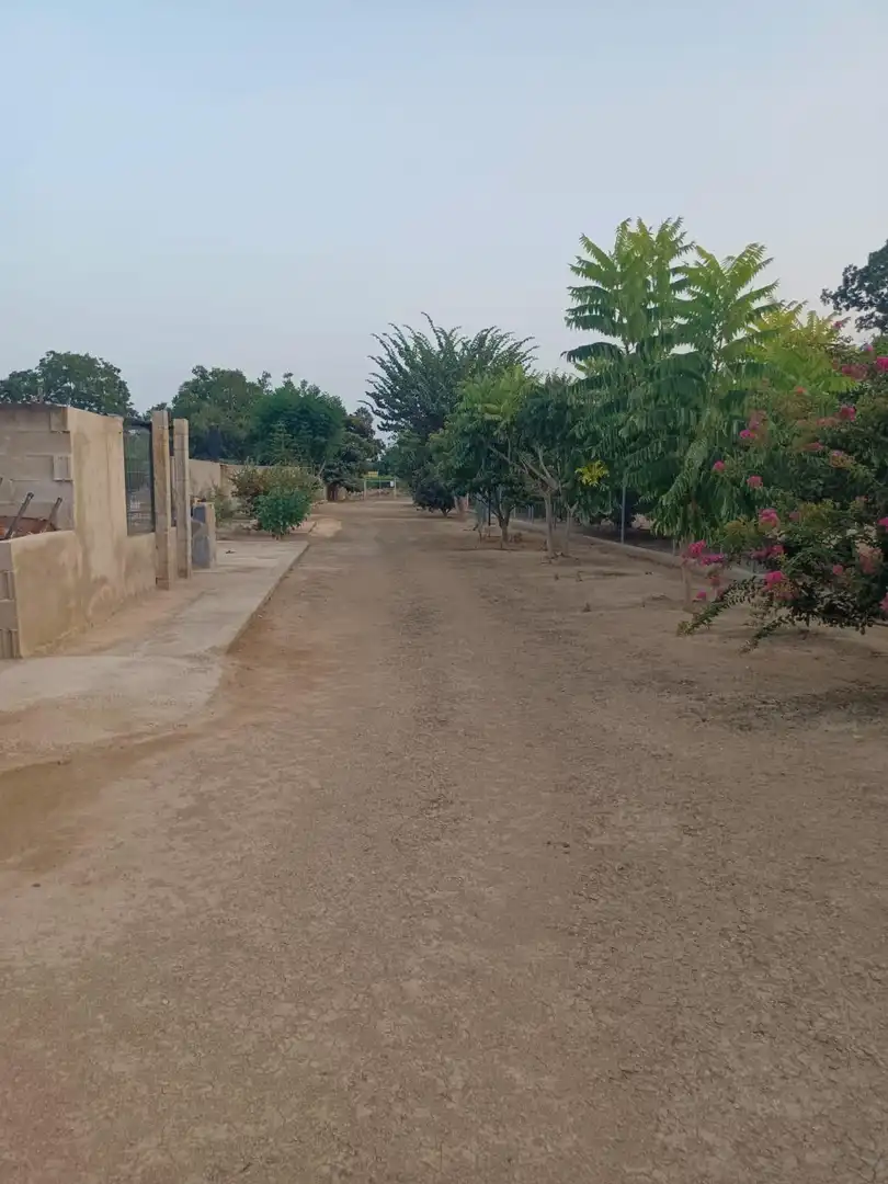 Finca rústica en venta en Tortosa