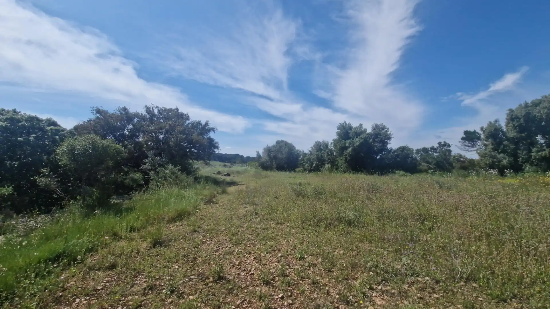 Terreno rustico in vendita a Valls, imagen 24