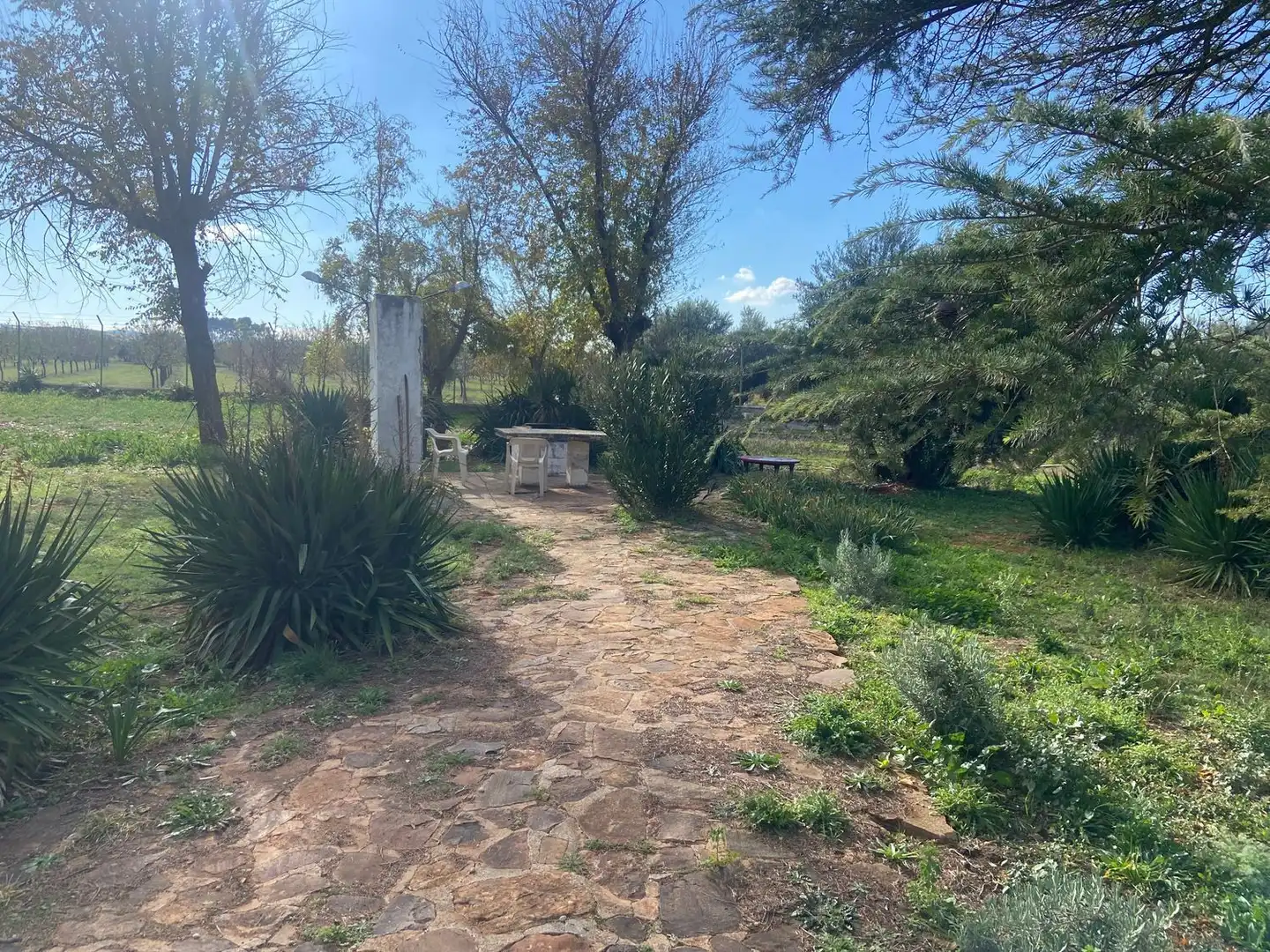 Jardín de Casa o chalet en venta en Almagro con Aire acondicionado, Calefacción y Jardín privado