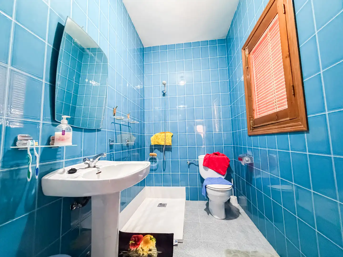 Baño de Casa o chalet en venta en Benamaurel con Jardín privado, Terraza y Piscina