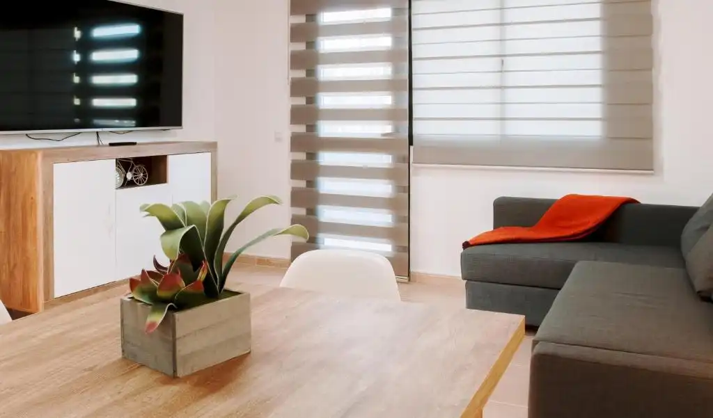 Living room of Flat for sale in La Oliva  with Terrace, Furnished and Oven