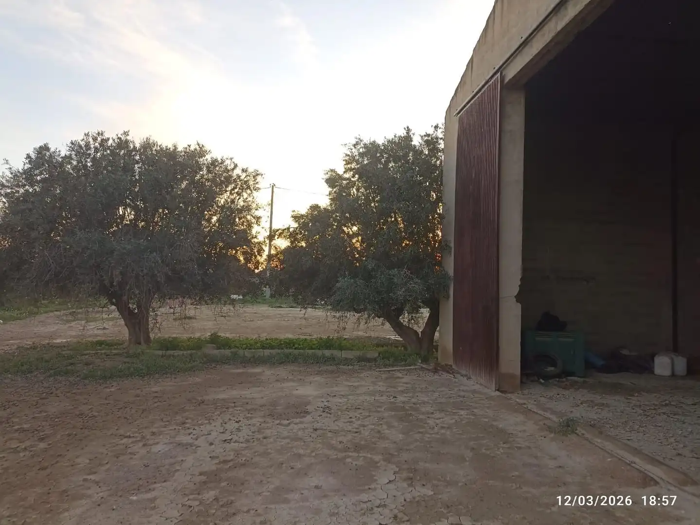 Garden of Land for sale in Totana